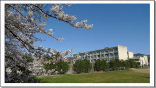 グラウンドの桜と校舎